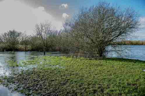 This picture was taken with the 24/70 at a focal length of 24mm. The “just above middle” horizon is slightly obscured by the larger hawthorn. The content of this picture for me is one of shock as I have never seen the water level so high in the neighbouring river, as we can see it has risen above it own bank and is over spilling into the lake. With regards to one of the previous lessons this was definitely a wide angle shot.