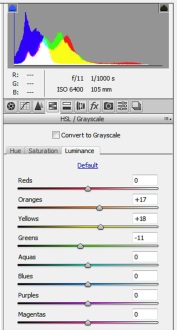 14_Editing individual colour balances in RAW