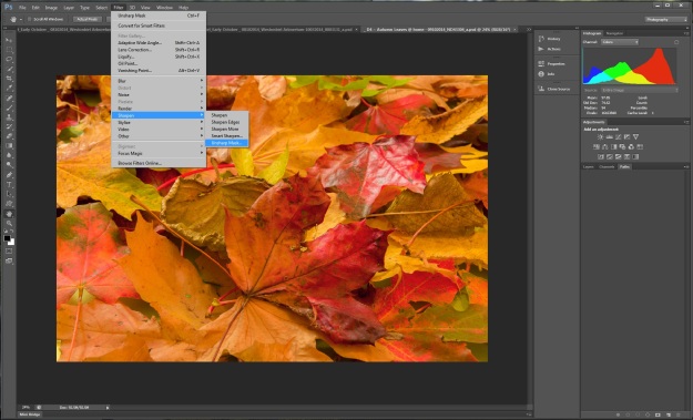 20_Editing in Photoshop_sharpening